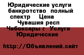 Юридические услуги (банкротство, полный спектр) › Цена ­ 500 - Чувашия респ., Чебоксары г. Услуги » Юридические   
